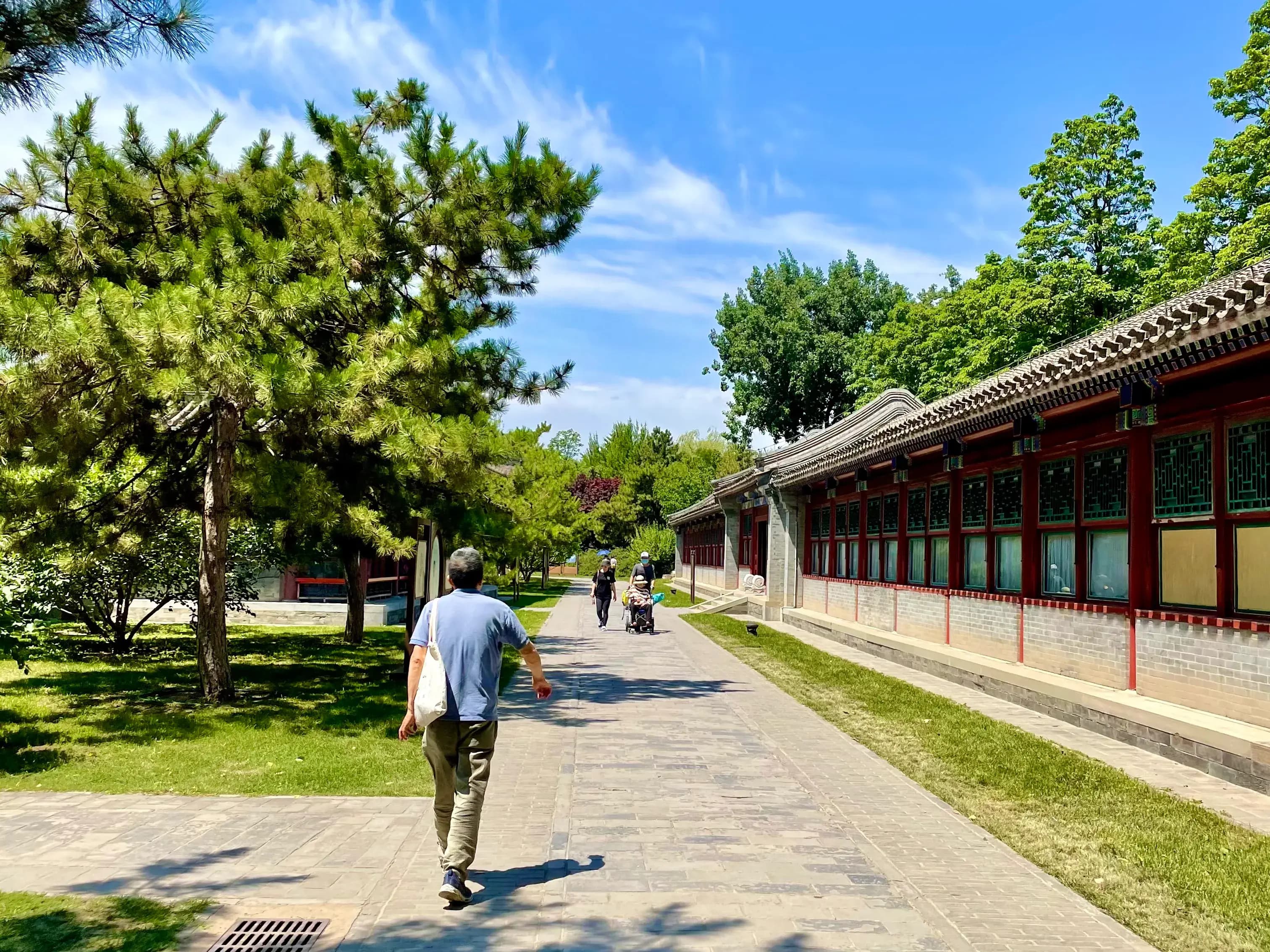 A paved pathway flanked by green trees and traditional Chinese buildings with tiled roofs and red-framed windows.