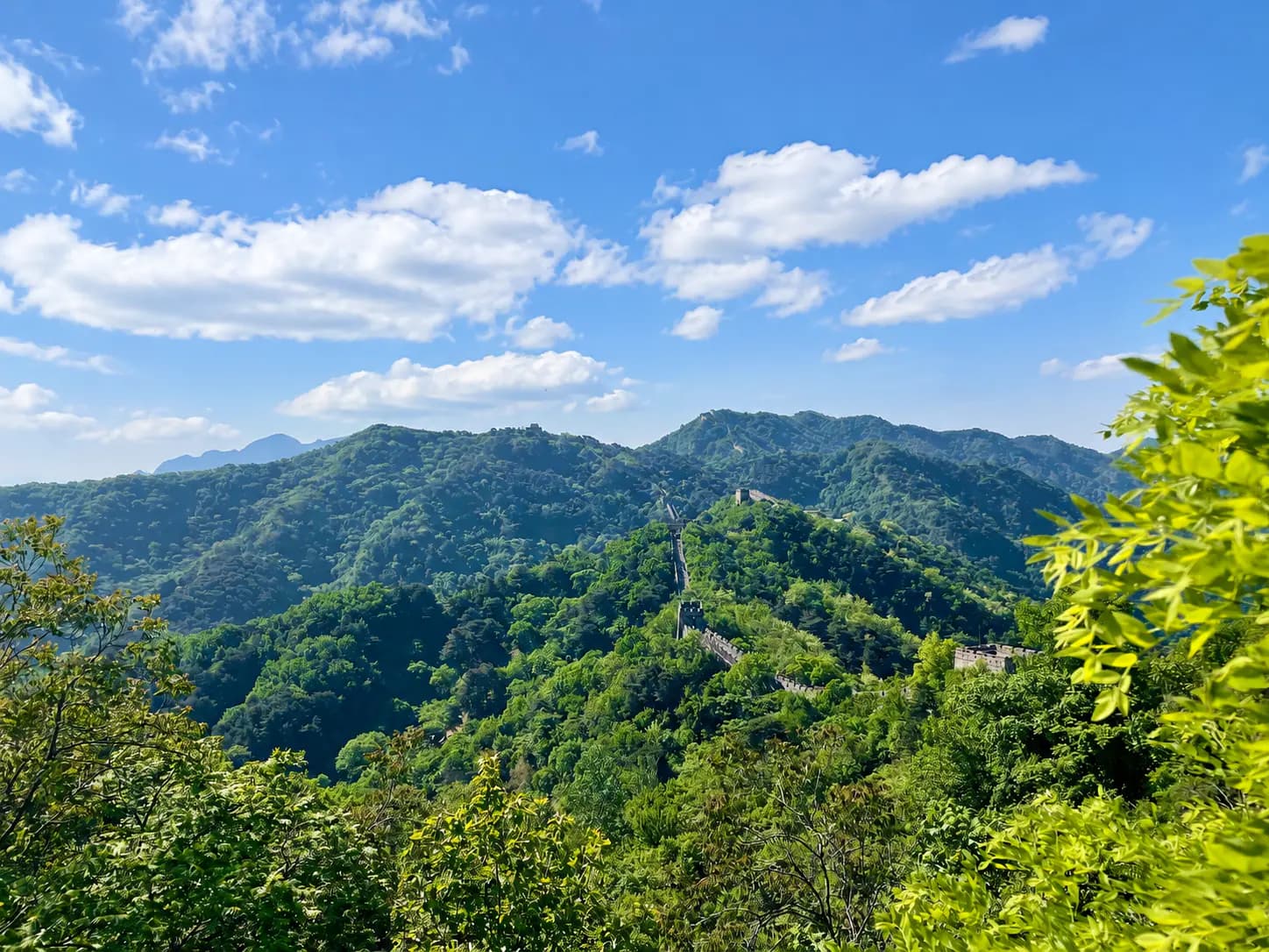 A scenic view of the Great Wall winding through lush green mountains under a bright blue sky with scattered clouds.