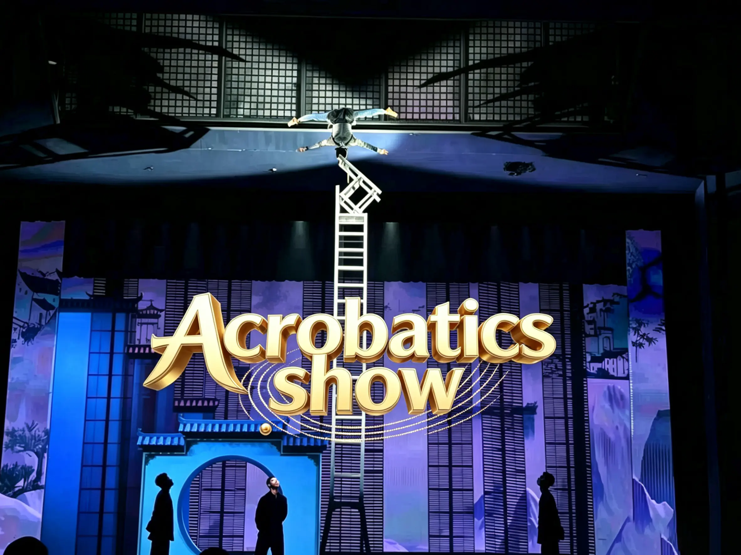 Beijing acrobatic show guide with theatre, ticket, dinner, and transfer planning.