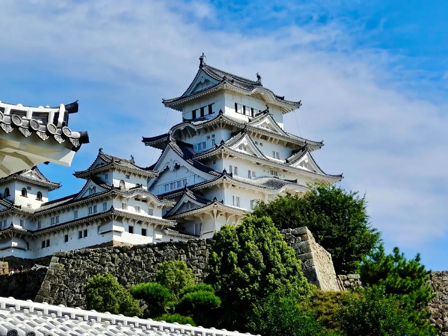 Related roof traditions, different architectural systems