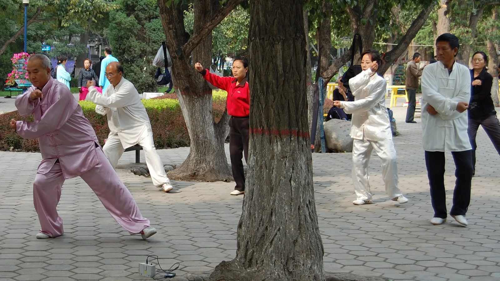 Taijiquan practice in Lanzhou, Gansu, China