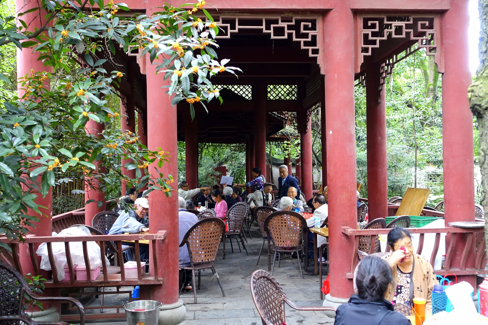 Teahouse scene in Baihuatan Park, Chengdu
