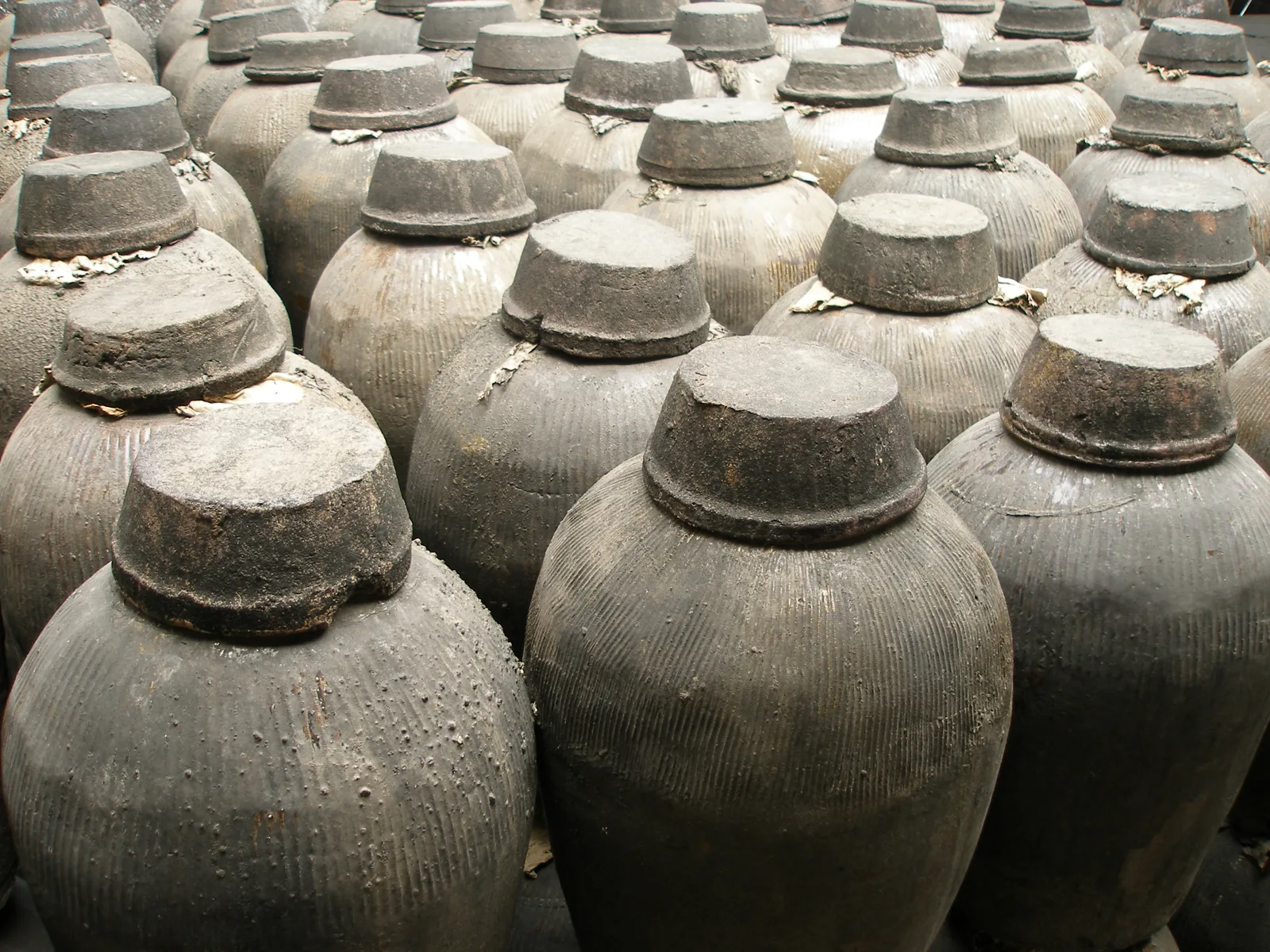 Aging jars for rice wine in Wuzhan, China