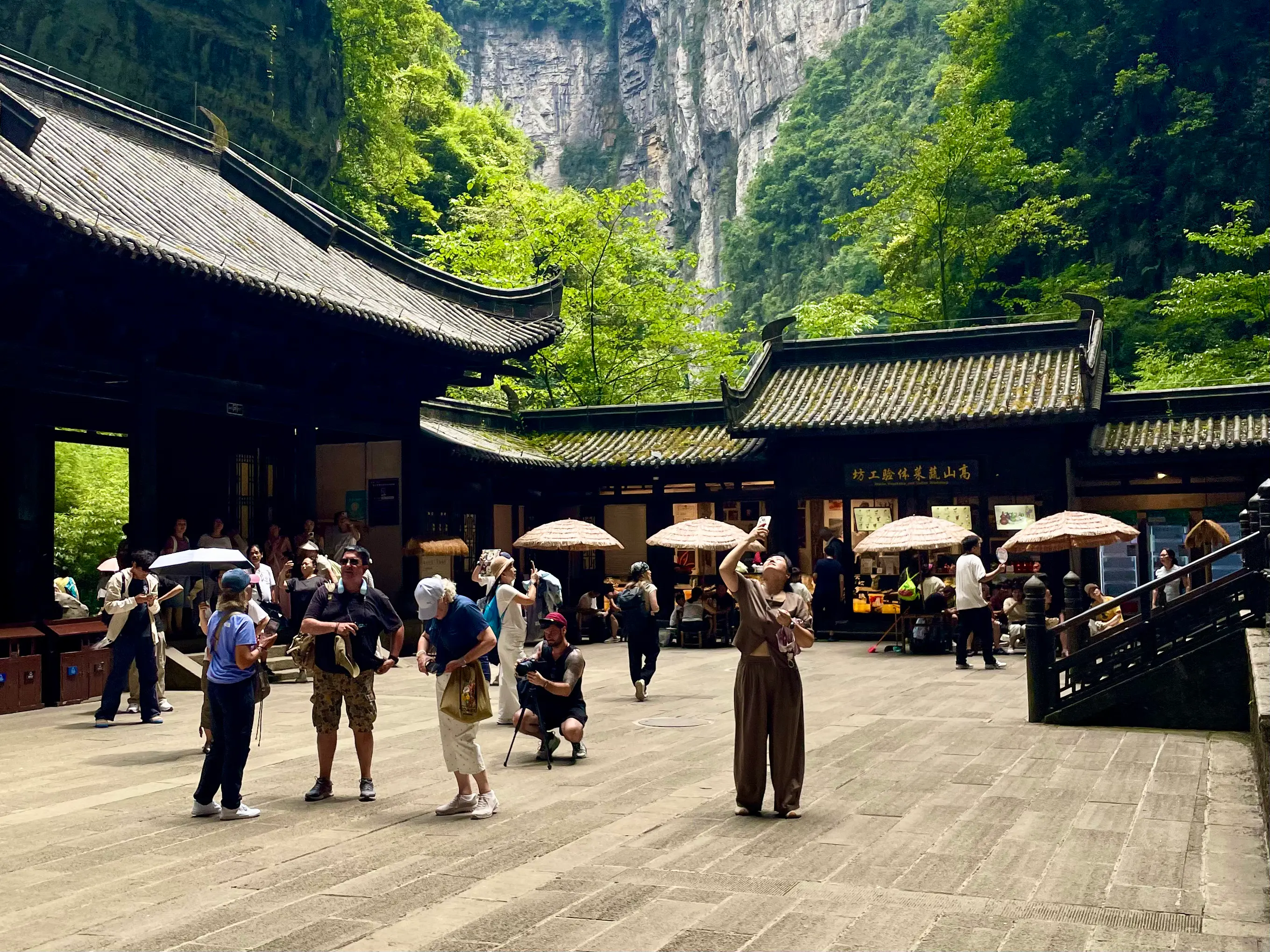 Wycieczka jednodniowa do Wulong z Chongqing z prywatnym transportem.