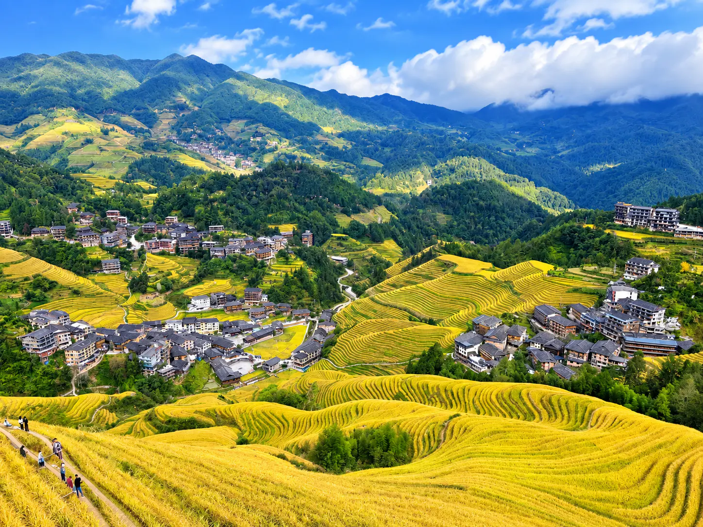 Longji Rice Terraces hillside landscape north of Guilin