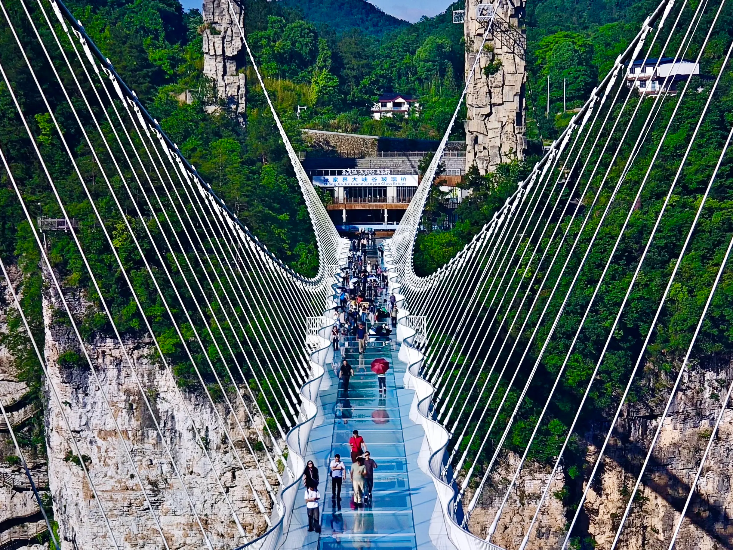 Circuito Completo de Zhangjiajie en un tour privado.
